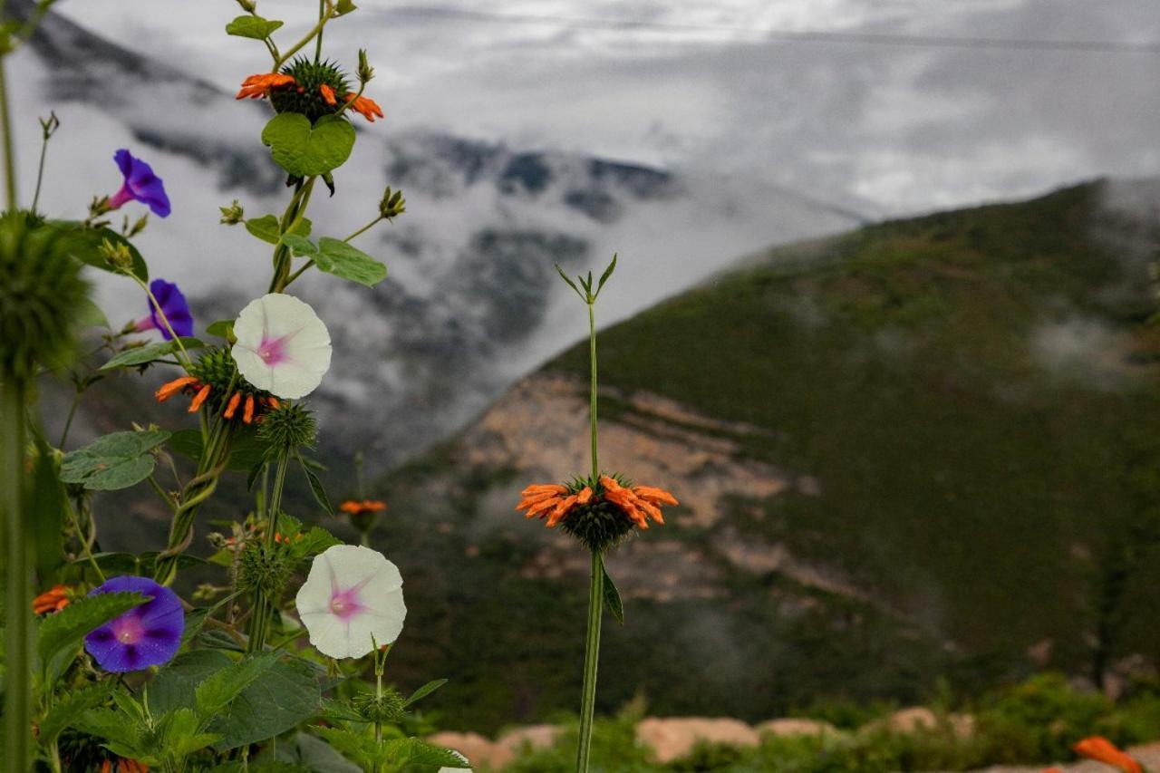 Ekokuelap Lodge Y Turismo Alternativo Nuevo Tingo Dış mekan fotoğraf